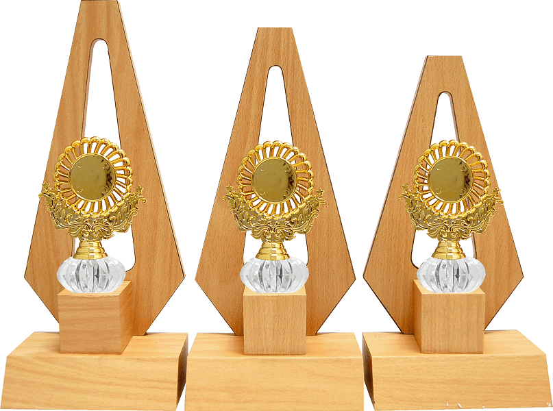 AT30857-5-min.png